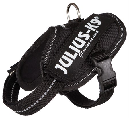 Julius-K9® IDC sele, Baby 2/XS-S: 33-45 cm/18 mm, svart