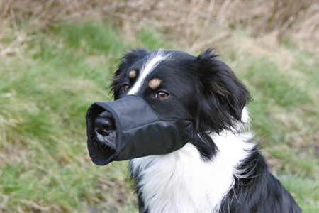 Munkorg nylon XXS 12 cm