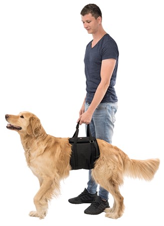 Lyfthjälp, M: 60-65 cm, svart