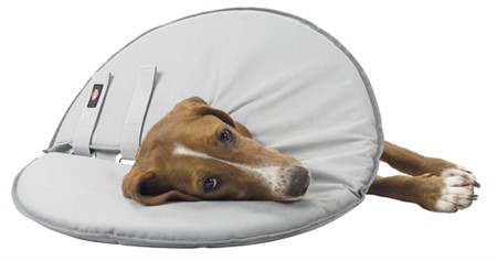 Hundkrage, mjuk, XS: 23-27 cm/13 cm, grå