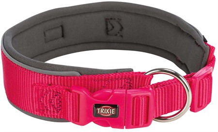 (BV)Premium halsband, X-bred, XS-S: 27-35 cm/25 mm, fuchsia/grafit