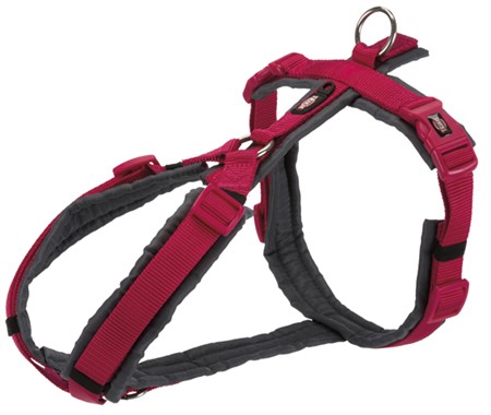 (BV)Premium spårsele,S: 36-44 cm/15 mm, fuchsia/grafit