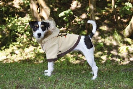 Hundpullover Vancouver Beige 18 cm