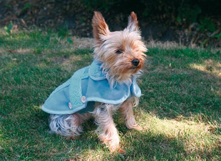 Hundtäcke Lilles Ljusblå 40 cm