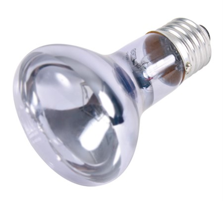 Terrarielampa Neodym spot, ø 63 × 100 mm, 35 W