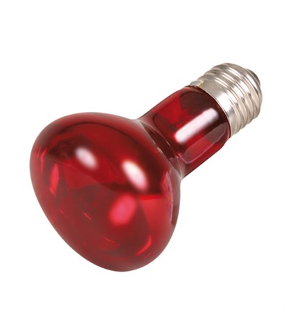 Terrarielampa Infraröd 63x100mm 75W