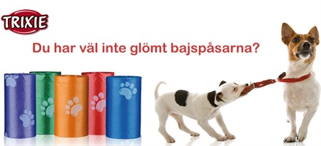 Bajspåsar &amp; Tbh
