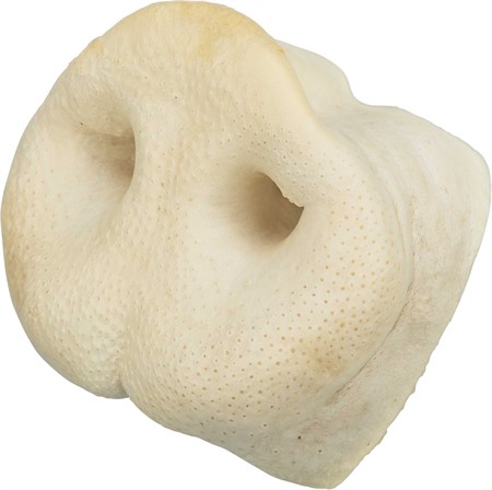 Gristryne, torkat, bulk, ljus