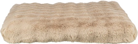 (BV)Elli dyna, 60 × 45 cm, sand