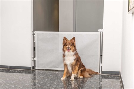 Rullbarriär, utdragbar, 0-137 × 86 cm