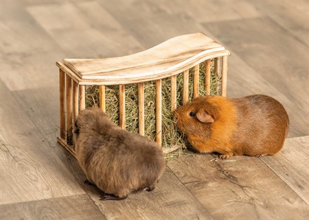 Höhäck med lock, trä/flamberad, 37 × 19 × 13 cm