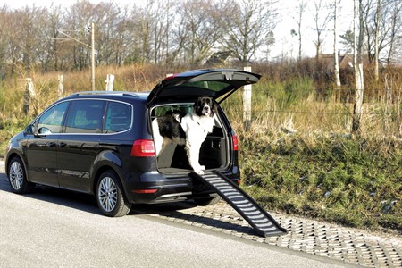 Ramp Petwalk, hopfällbar, 39 × 160 cm, plast, svart, upp till 70 kg