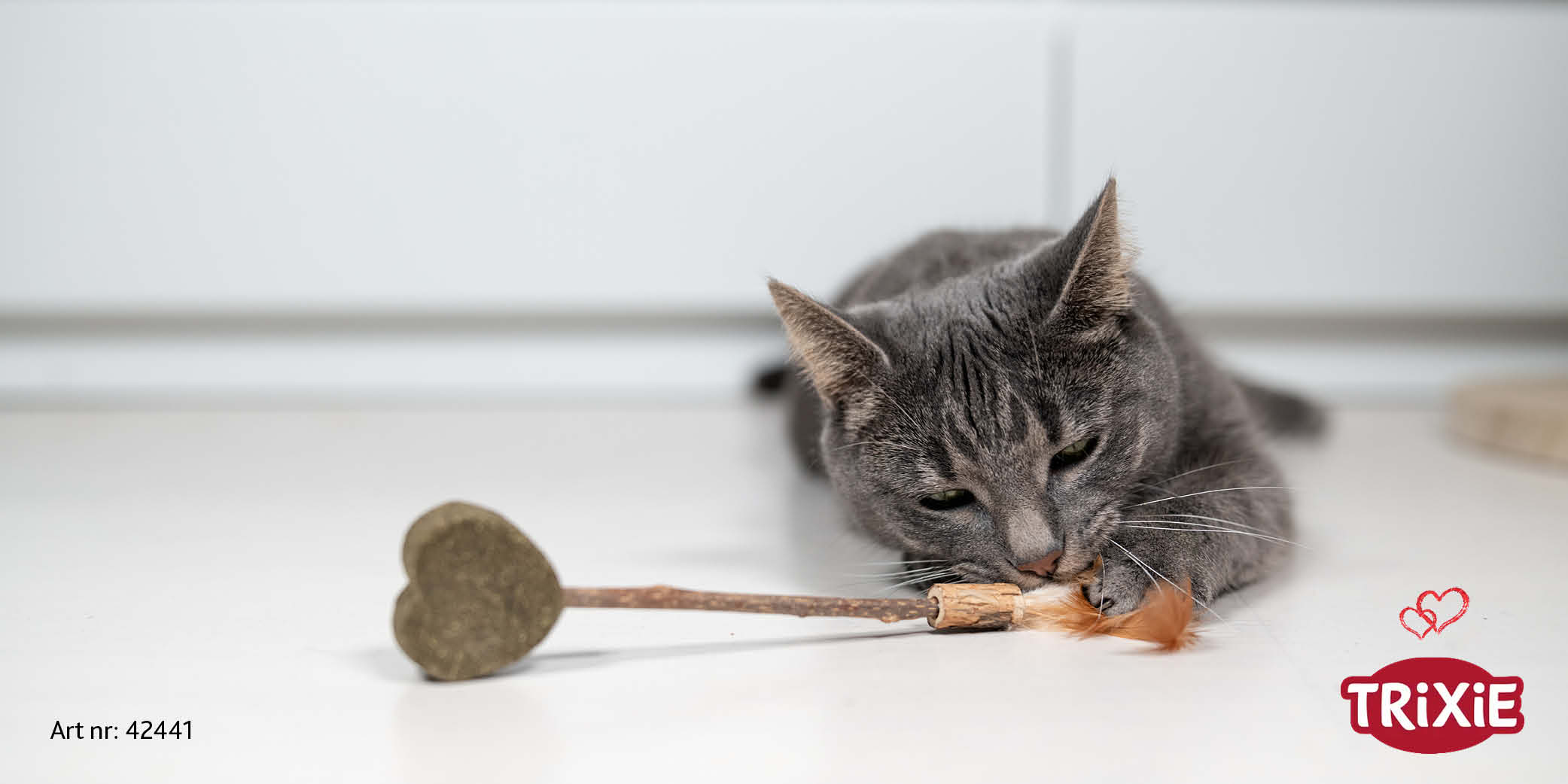 Annons:4 3_matatabi_katt.jpg